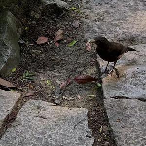 女生怎么奖励高清素材动漫
