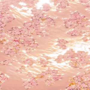 女生怎么奖励高清素材动漫
